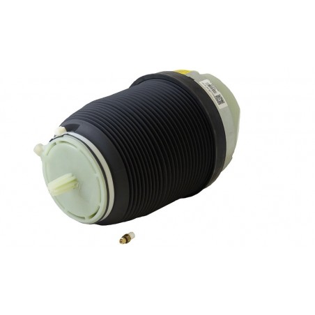 Audi A6 C6 4F Allroad Fole Pneumático Traseiro DUNLOP 4F0616001J