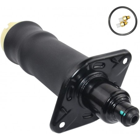Audi A6 C5 4B Allroad - Neumático trasero derecho 4Z7616052A Suspensión neumática