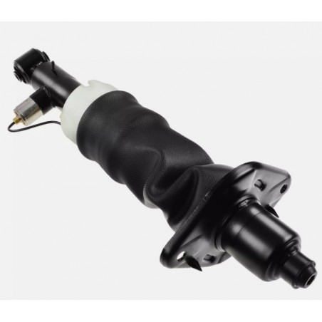 Audi A6 C5 4B Allroad - Amortiguador trasero izquierdo y suspensión neumática 4Z7616051A