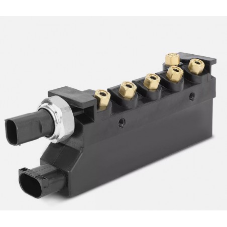 copy of Audi A6 4F C6 Compressor de suspensão Pneumática 4F0616005FP