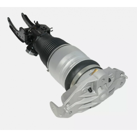 Audi Q7 4L Amortiguador neumático de suspensión neumática delantero isquierdo 7L8616039B
